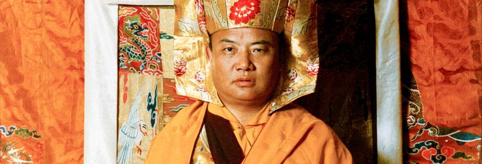 Mahamudra: Der 16. Gyalwa Karmapa Rangjung Rigpe Dorje